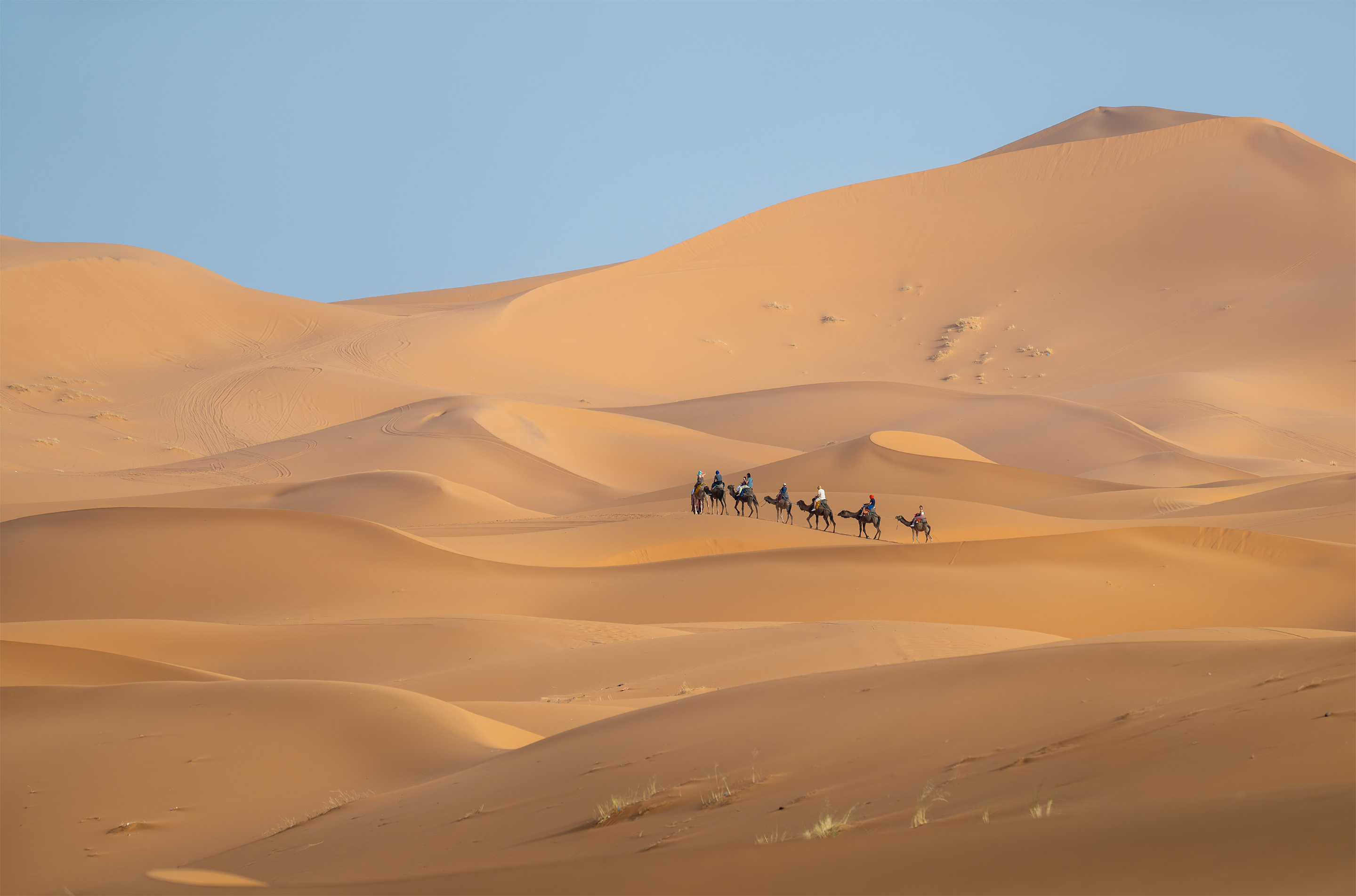 2nd PrizeMulti-Scape In Class 3 By Sue Guy For Desert Trek SEP-2025.jpg